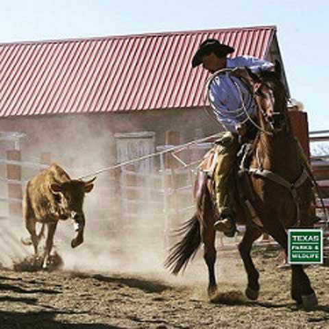 Visit Big Bend
